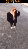 每日GIF(2020-09-14)的gif-Coming On My Way GIF by MOODMAN