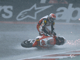 每日GIF(2020-09-14)的gif-Surfs Up Wtf GIF by MotoGP