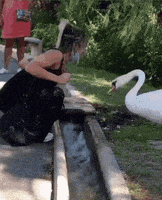 每日GIF(2020-09-16)的gif-Mask Fail GIF