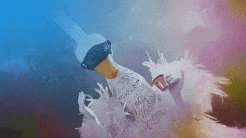 每日GIF(2020-09-16)的gif-Swan Waving GIF by The Masked Singer