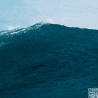 每日GIF(2020-09-19)的gif-Planet Earth GIF by BBC America