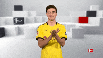 每日GIF(2020-09-20)