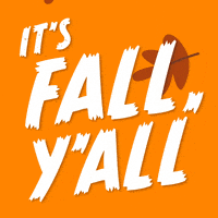 每日GIF(2020-09-23)的gif-Raking Its Fall GIF