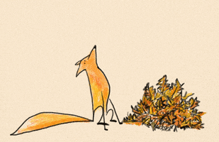 每日GIF(2020-09-23)的gif-Its Fall Fox GIF by Ana Caro