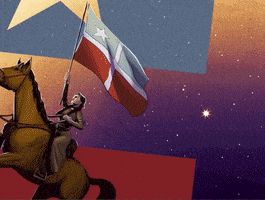 每日GIF(2020-09-24)的gif-Poder Puerto Rico GIF by La Borinqueña
