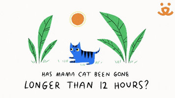 每日GIF(2020-09-26)的gif-Save Them All Cat Lady GIF by Best Friends Animal Society