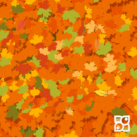 每日GIF(2020-09-26)的gif-Fall Season Dog GIF by Petland Florida