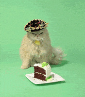 每日GIF(2020-09-27)的gif-Angry Happy Birthday GIF by Birthday Bot