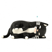 每日GIF(2020-09-27)的gif-Tired Early Morning GIF by Mr. Kat & Friends