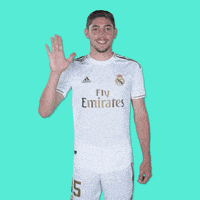 每日GIF(2020-09-27)的gif-La Liga Hello GIF by Real Madrid