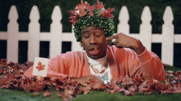 每日GIF(2020-09-27)的gif-Tyler The Creator Fall GIF by Interscope Records