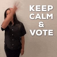 每日GIF(2020-09-27)的gif-Election 2020 Vote GIF by Hannah Bronfman 