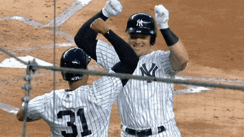 每日GIF(2020-09-30)的gif-Voit New York GIF by MLB