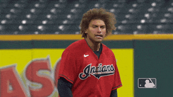 每日GIF(2020-10-01)的gif-Lets Go Yes GIF by MLB