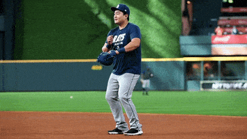 每日GIF(2020-10-01)的gif-Happy Major League Baseball GIF by MLB