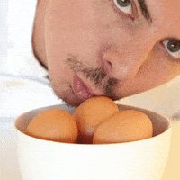 每日GIF(2020-10-02)的gif-Scrambled Eggs Reaction GIF