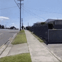 每日GIF(2020-10-03)的gif-Bird Attack GIF by Justin