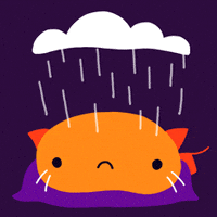 每日GIF(2020-10-03)的gif-Cat Reaction GIF by Cindy Suen