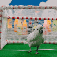 每日GIF(2020-10-03)的gif-Come At Me Bring It On GIF by Jarritos