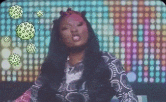 每日GIF(2020-10-05)的gif-Snl Megan Thee Stallion GIF by Saturday Night Live