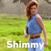 每日GIF(2020-10-05)的gif-Any Man Of Mine Shake GIF by Shania Twain