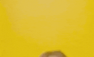 每日GIF(2020-10-06)的gif-Oh My God Wow GIF by Saturday Night Live