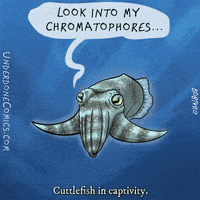 每日GIF(2020-10-07)的gif-Blue Planet Cartoon GIF by Underdone Comics