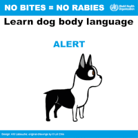 每日GIF(2020-10-07)的gif-Disease Prevention Rabies GIF by World Health Organization