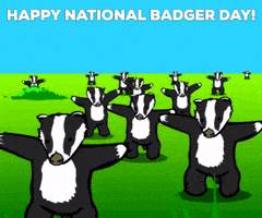 每日GIF(2020-10-07)的gif-October 6 GIF by GIFiday