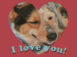 每日GIF(2020-10-09)的gif-I Love You Puppy GIF by GIPHY Studios Originals