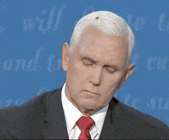 每日GIF(2020-10-09)的gif-Election 2020 Fly GIF by CBS News