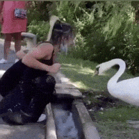 每日GIF(2020-10-09)的gif-Mask Corona GIF by Hari Tahov Shop