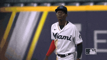 每日GIF(2020-10-09)的gif-Baseball Kiss GIF by MLB