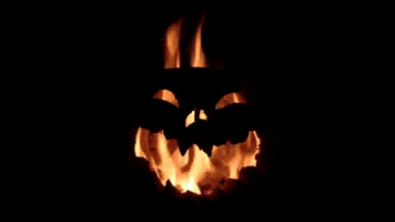 每日GIF(2020-10-10)的gif-Trick Or Treat Halloween GIF by Hunter Preston