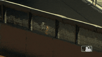每日GIF(2020-10-13)的gif-Hand Up Major League Baseball GIF by MLB