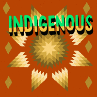 每日GIF(2020-10-13)的gif-Native American Indian GIF by INTO ACTION