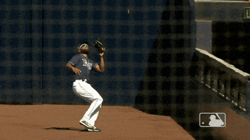 每日GIF(2020-10-13)的gif-Major League Baseball GIF by MLB