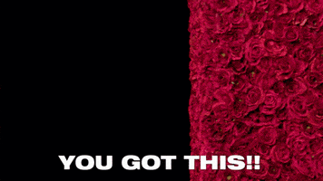 每日GIF(2020-10-14)的gif-Lets Go Love GIF by The Bachelorette