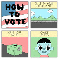 每日GIF(2020-10-14)的gif-Voting How To GIF by Election 2016