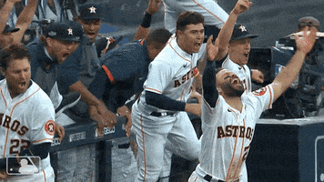 每日GIF(2020-10-16)的gif-Happy Lets Go GIF by MLB