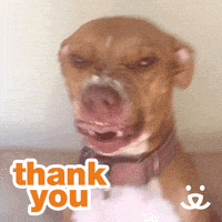 每日GIF(2020-10-20)的gif-Thank U GIF by Best Friends Animal Society