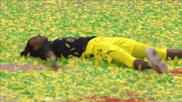 每日GIF(2020-10-22)的gif-Happy Lets Go GIF by WNBA