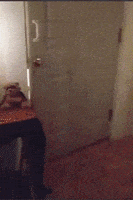 每日GIF(2020-10-23)的gif-Trick Or Treat Reaction GIF by MOODMAN