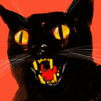 每日GIF(2020-10-23)的gif-Black Cat Halloween GIF by GIPHY Studios Originals