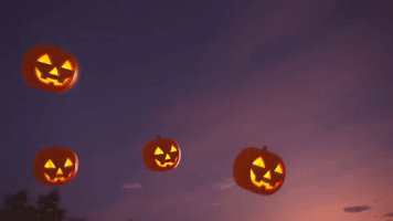 每日GIF(2020-10-25)的gif-Halloween Pumpkin GIF