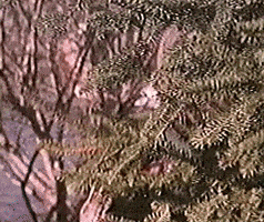 每日GIF(2020-10-25)的gif-Halloween Kim K GIF by Justin