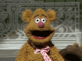 每日GIF(2020-10-25)的gif-Fozzie Bear Muppets GIF
