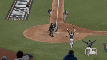 每日GIF(2020-10-26)的gif-Happy Major League Baseball GIF by MLB