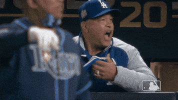 每日GIF(2020-10-26)的gif-Angry Oh No GIF by MLB