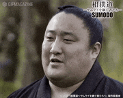 映画「相撲道 ーサムライを継ぐ者たちー」【公式】的gif的gif-Untitled GIF